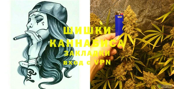 spice Инта