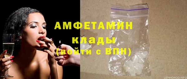spice Инта
