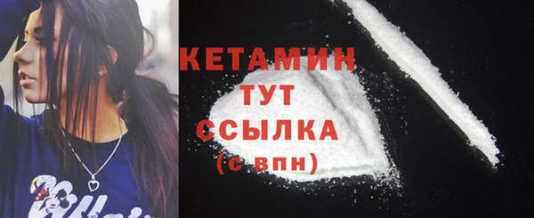 spice Инта