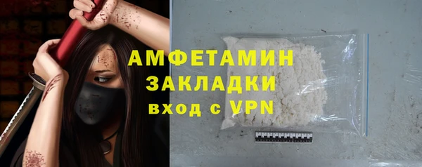 spice Инта