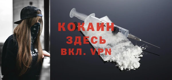 spice Инта