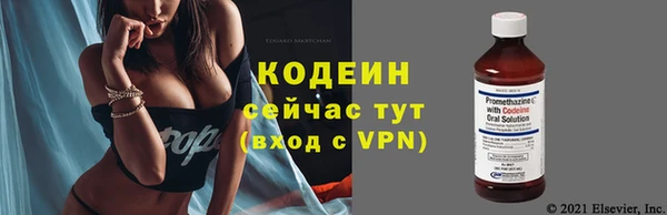 spice Инта