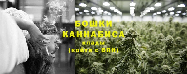 spice Инта