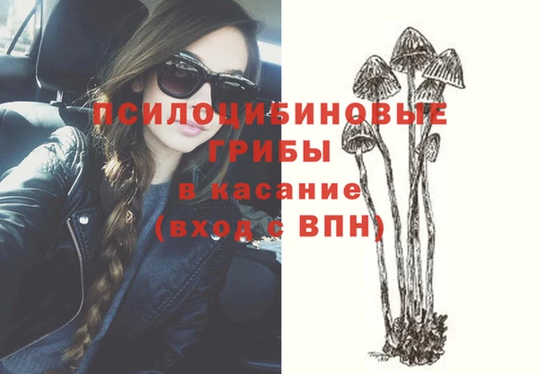a pvp Инсар
