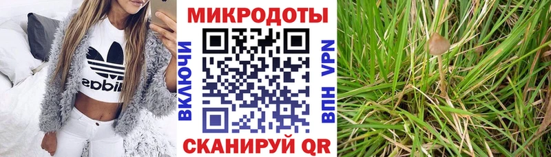 Галлюциногенные грибы Magic Shrooms Купить где Гремячинск